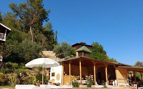 Olympos Angels Garden